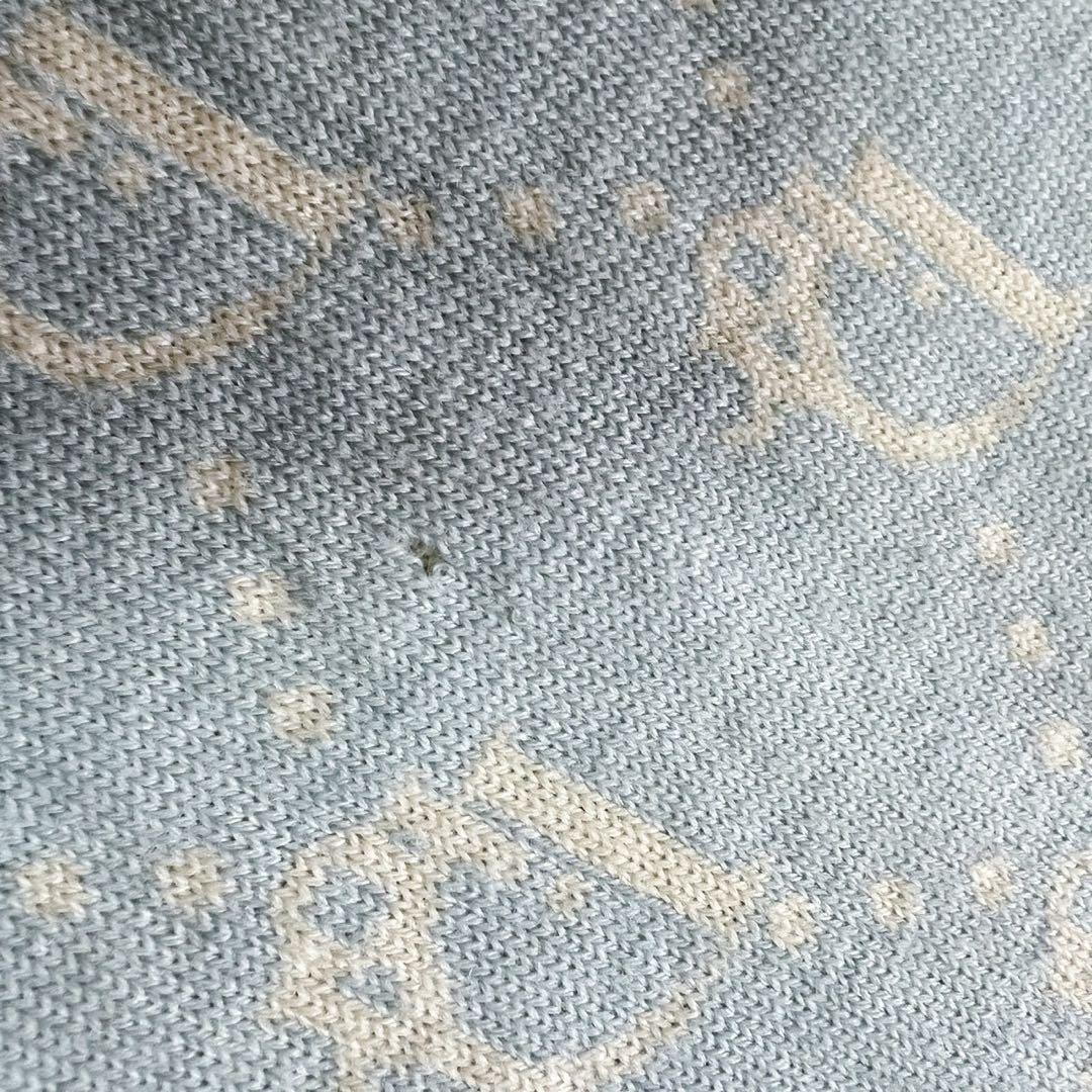 クリスチャンディオール　Dior　マフラー　ウール　ロゴ　トロッター　水色