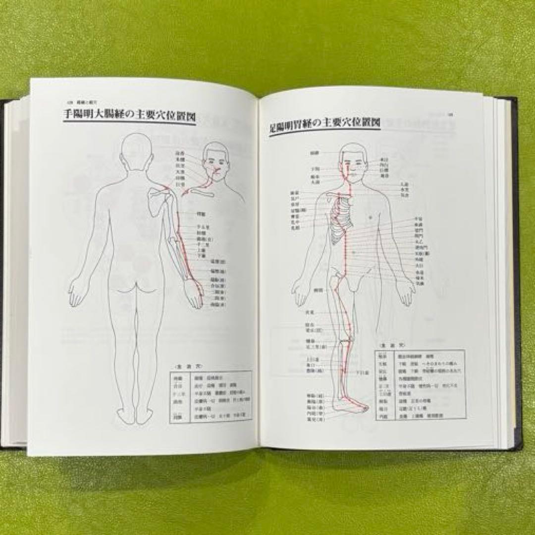 図説 東洋医学　代田文彦　山田光胤　著