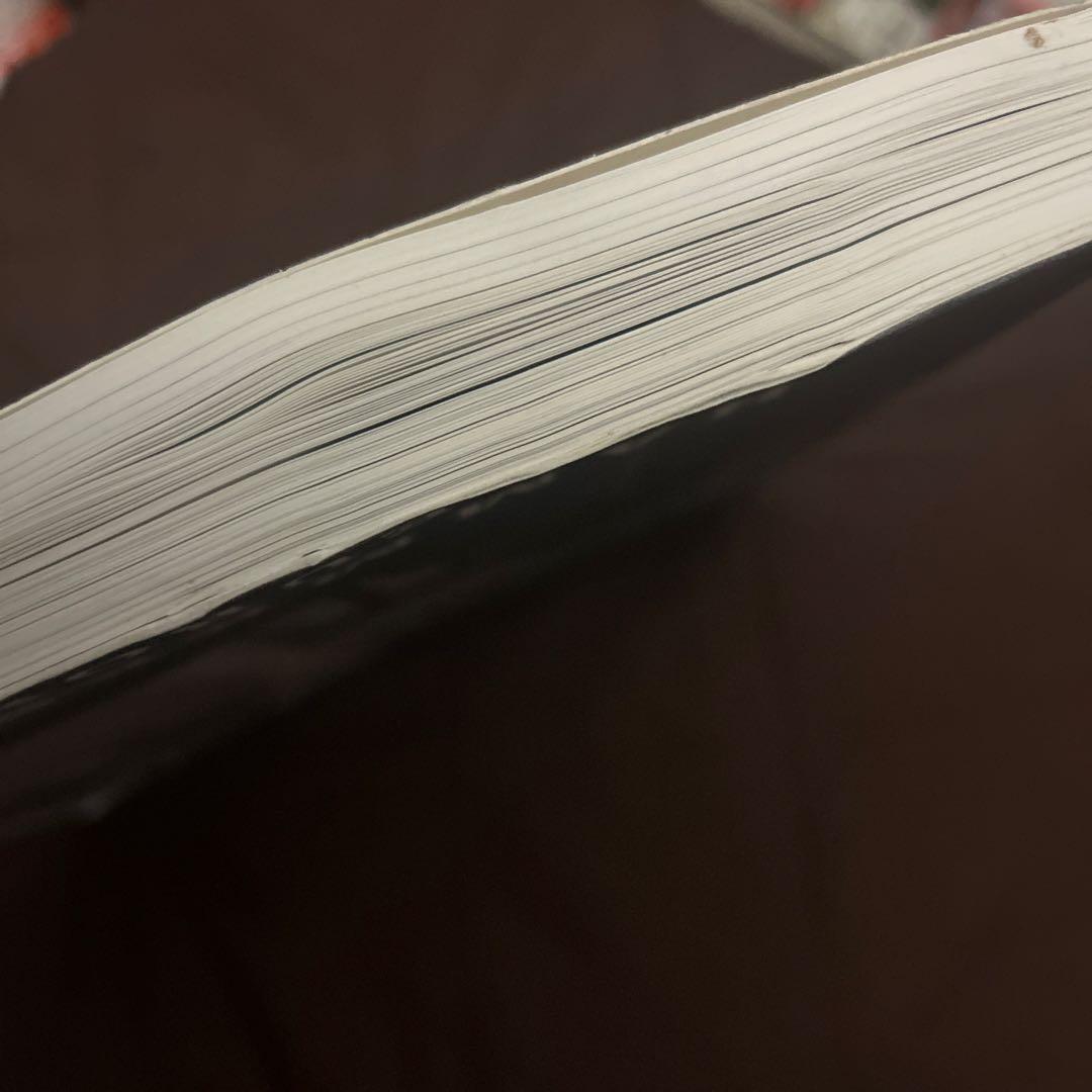 ハマスホイ画集『Hammershoi and Europe』