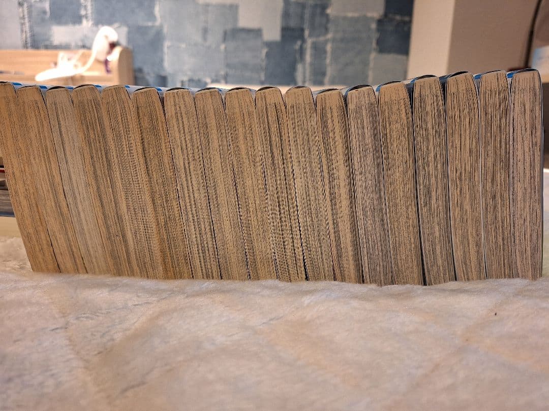 ず*ず様 HUNTER×HUNTER 38巻セット