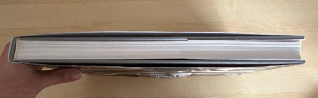 アート・デザイン・音楽 Deborah Turbeville Photocollage