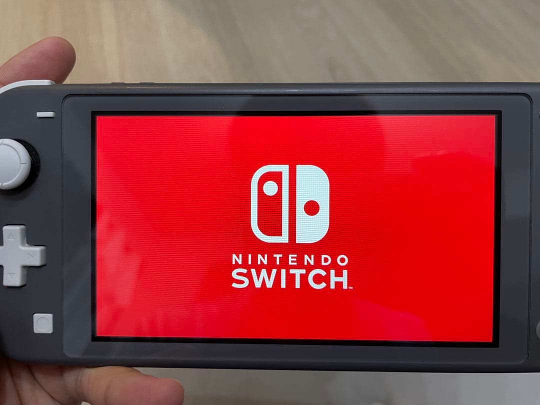 Nintendo Switch Lite 本体 充電器SDカード付き【中古品】