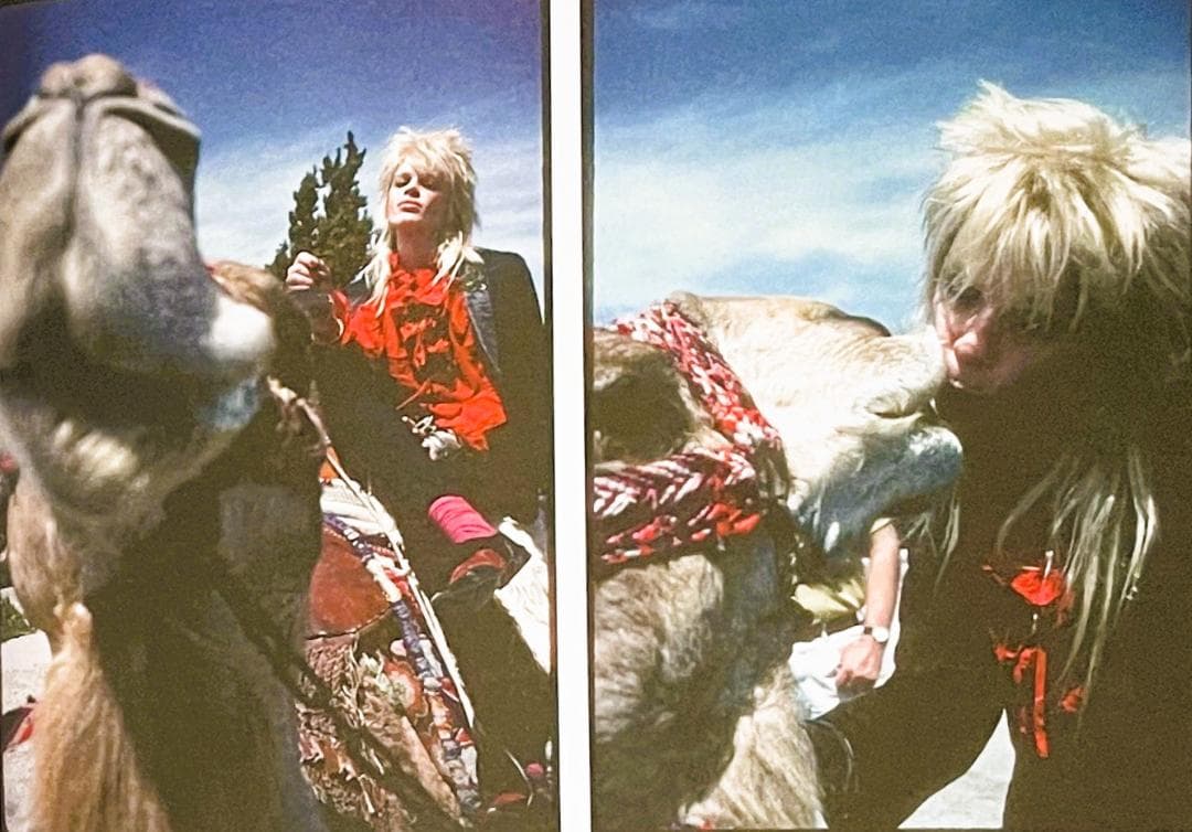 【絶版・入手困難】ハノイロックス HANOI ROCKS '82-'84 写真集