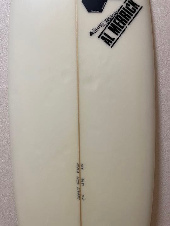 ☆アルメリックチャンネルアイランド WHIP 5’11☆