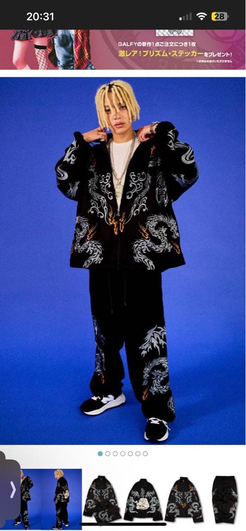 ガルフィー 3代目 セットアップ (大型犬)