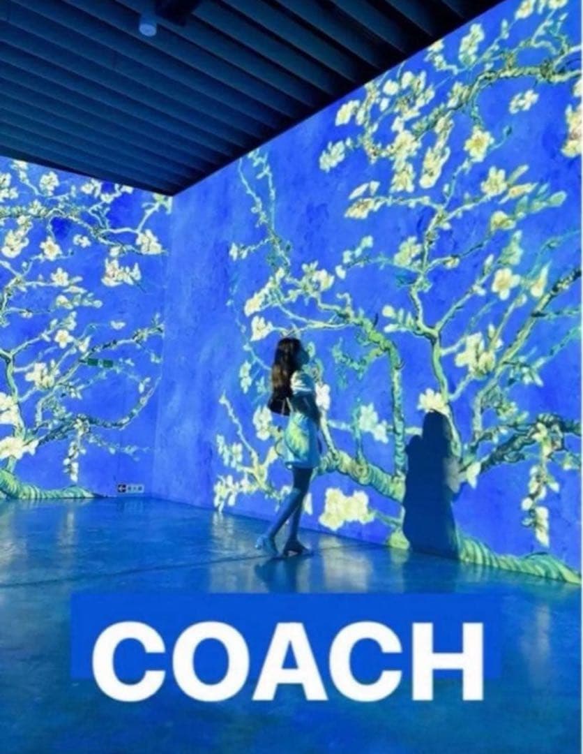 COACH長財布レインボーマルチカラーシグネチャーメンズレディース.ストラップ付