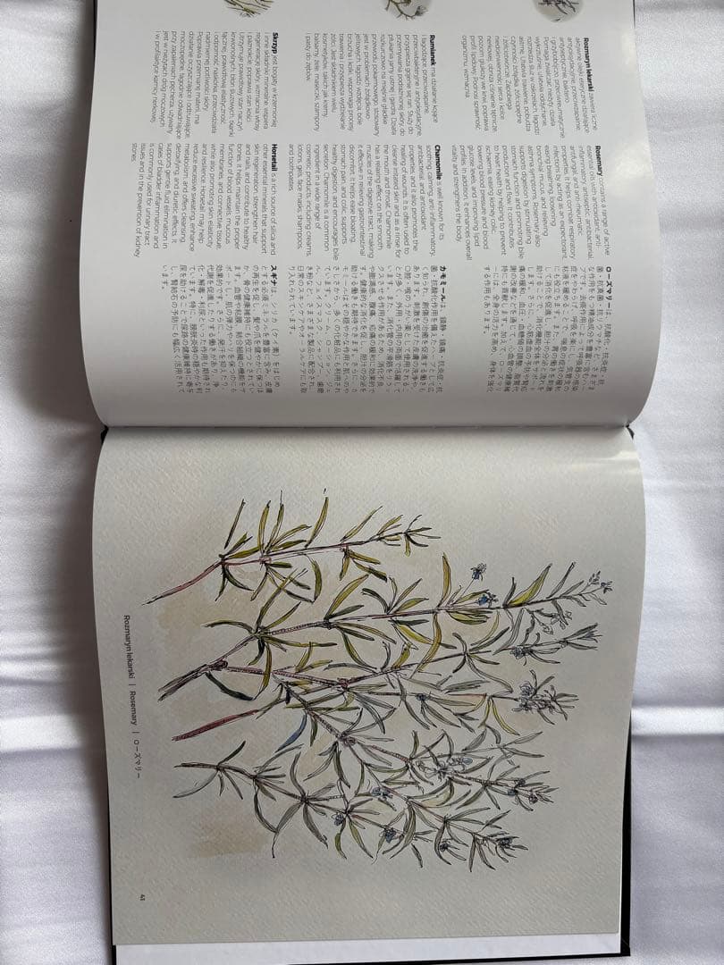 大阪万博 2025 ポーランドパビリオン 非売品 本/図鑑