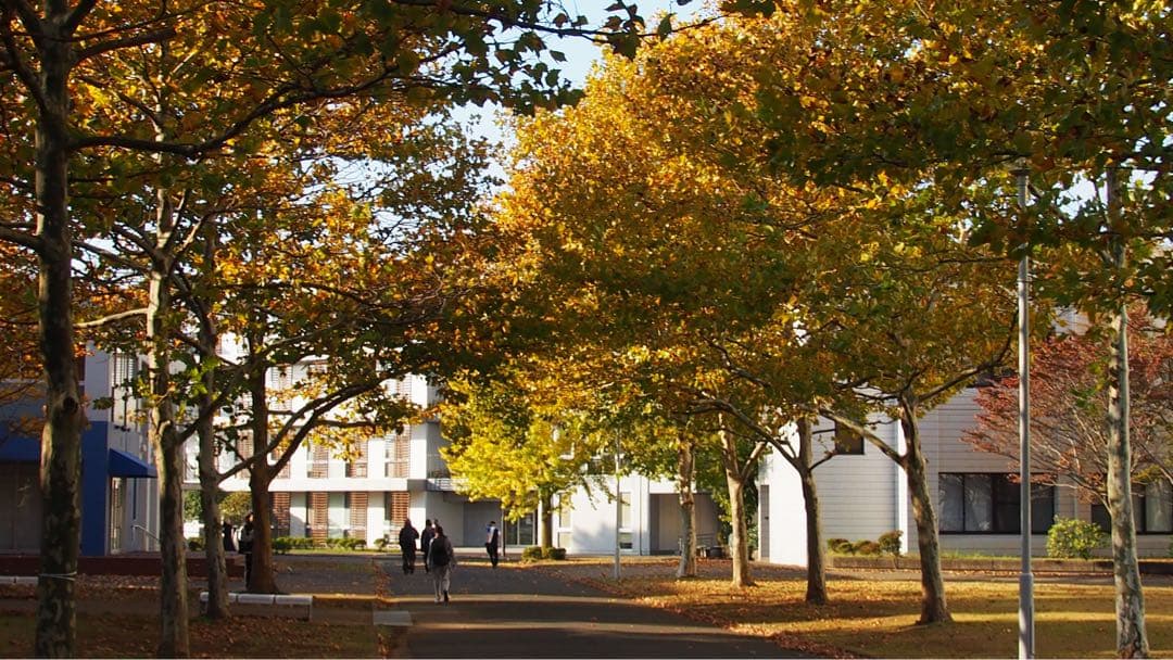 レンズ(単焦点) Panasonic LUMIX G 14mm/F2.5 ASPH. H-H014