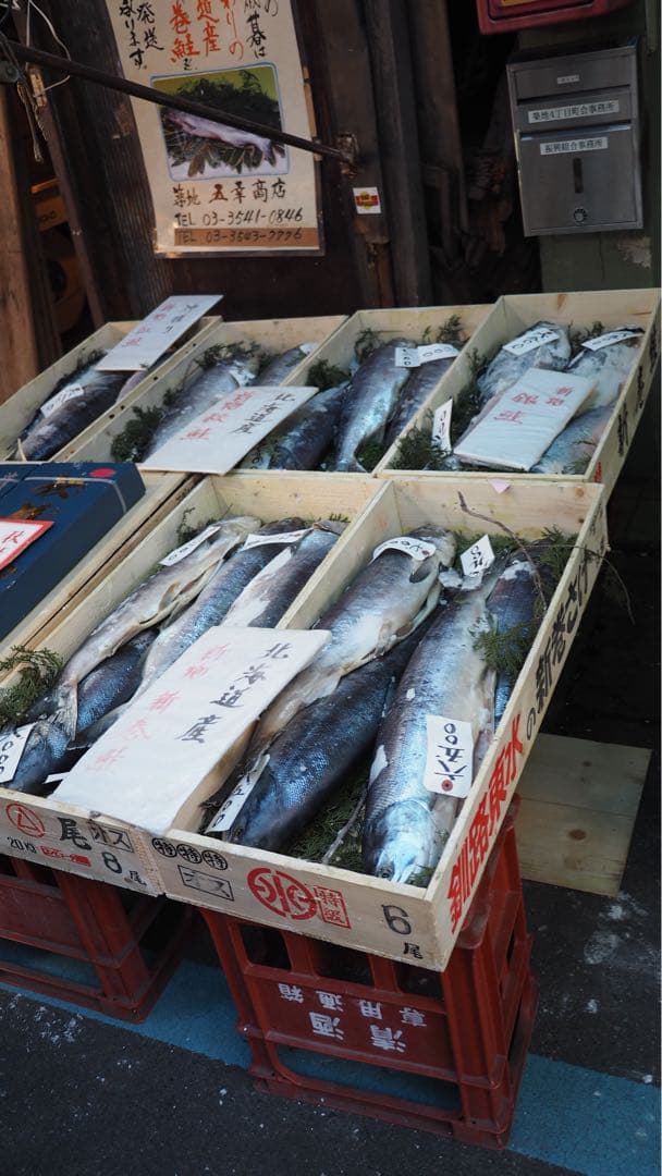 レンズ(単焦点) Panasonic LUMIX G 14mm/F2.5 ASPH. H-H014