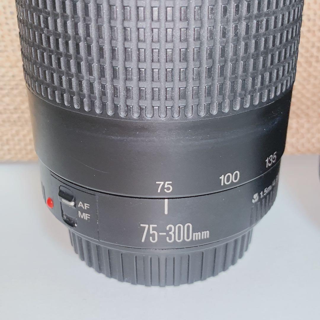 Canon 望遠レンズ 単焦点レンズ