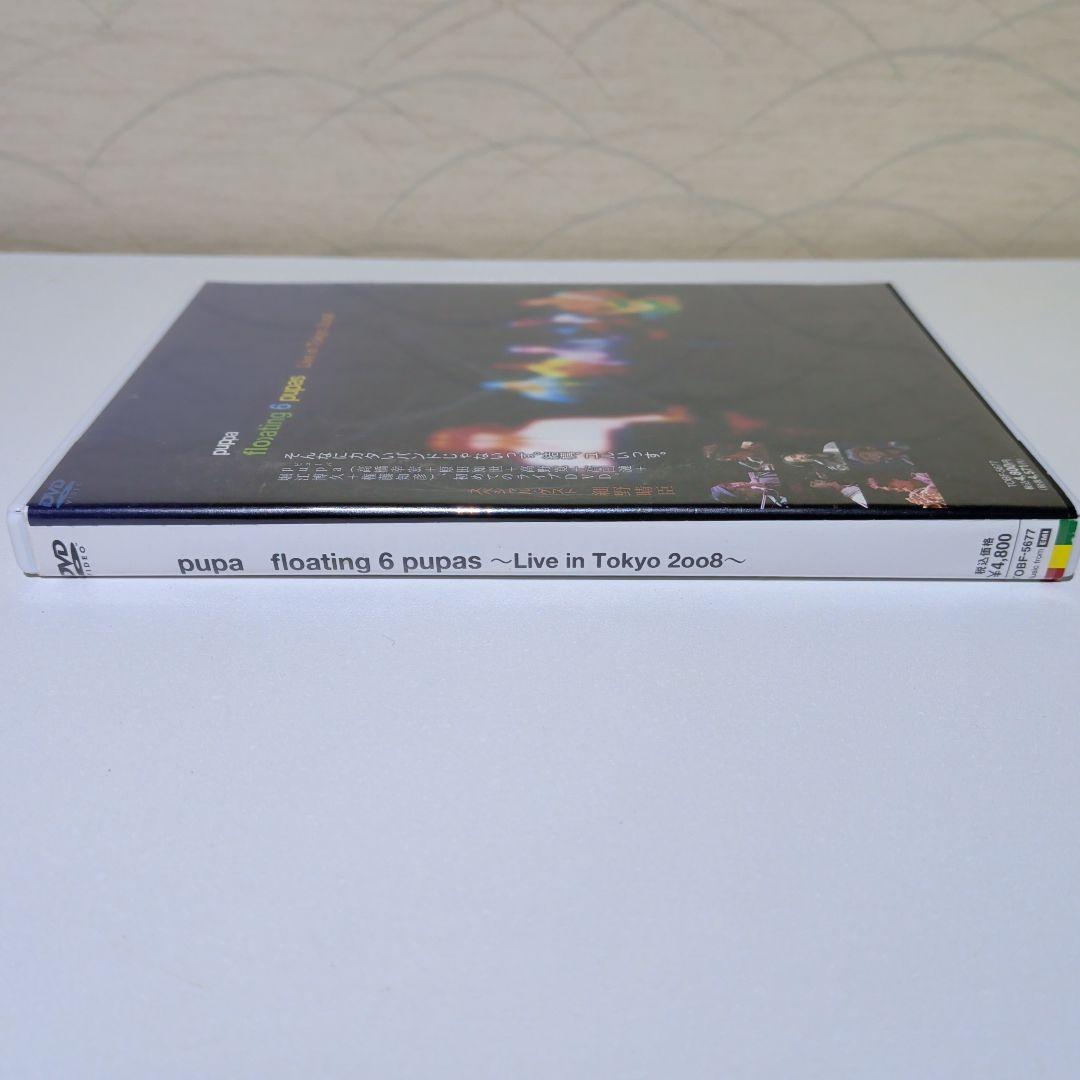 ミュージック pupa floating 6 pupas Live in Tokyo 2008