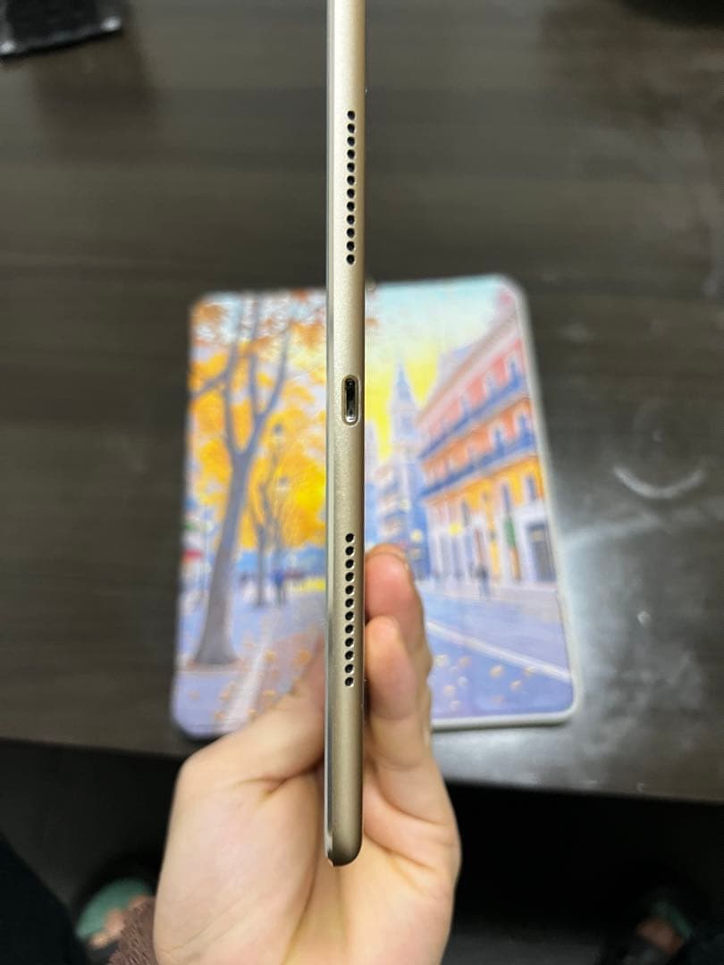 Ipad pro 9.7 インチ　128ｇｂ　Wi-Fi＋ 4G