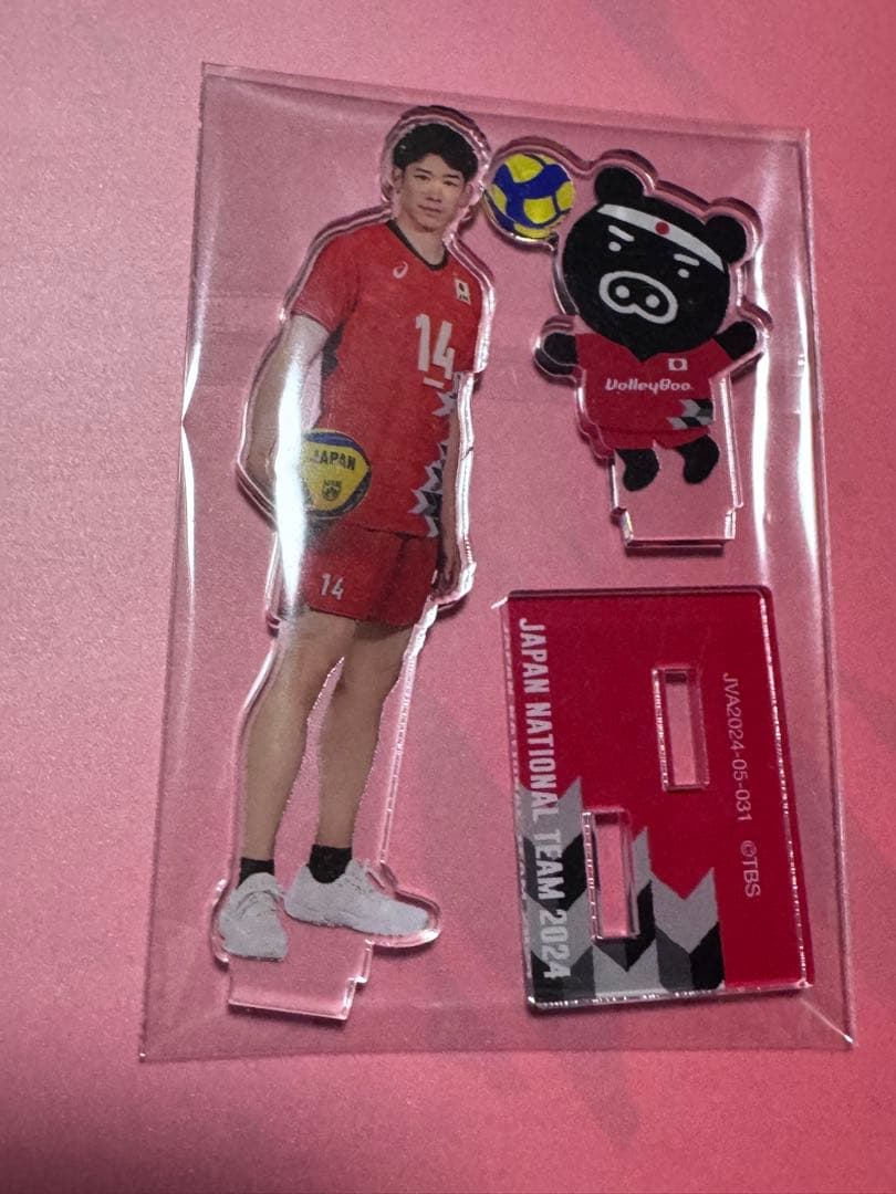 男子バレー 日本代表チーム 直筆サイン入り 金箔サイン カードセット