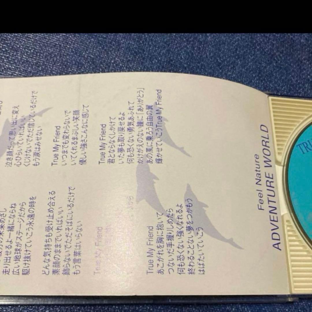 川島郁子 TRUE〜　南紀白浜アドベンチャーワールド 8センチ8cmシングルCD