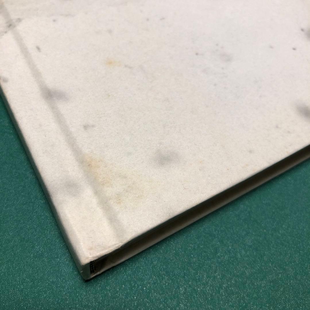 【サイン入り】Aleix Plademunt / ALMOST THERE