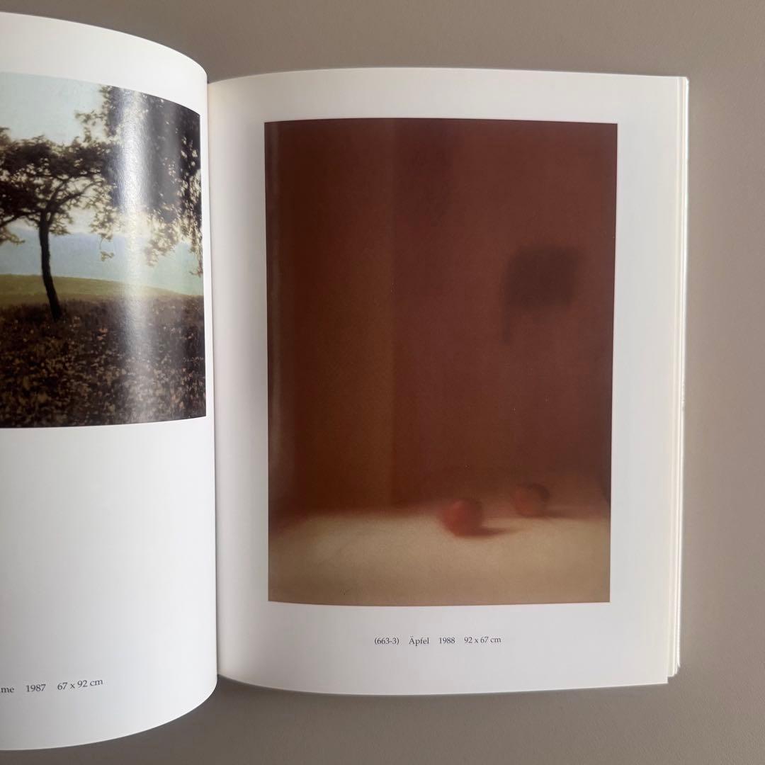 (ポストカード付)Gerhard Richter 100 Pictures