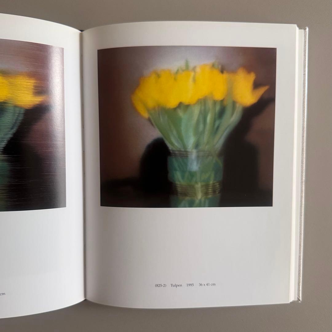 (ポストカード付)Gerhard Richter 100 Pictures