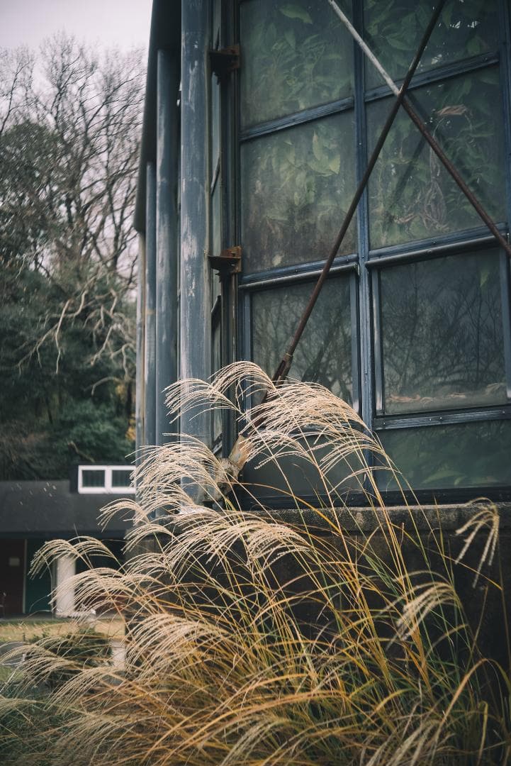 梅鉢！千代田光学 SUPER ROKKOR 45mm f2.8
