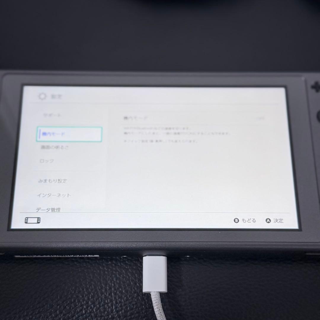 【美品】Nintendo Switch lite ディアルガ　パルキア