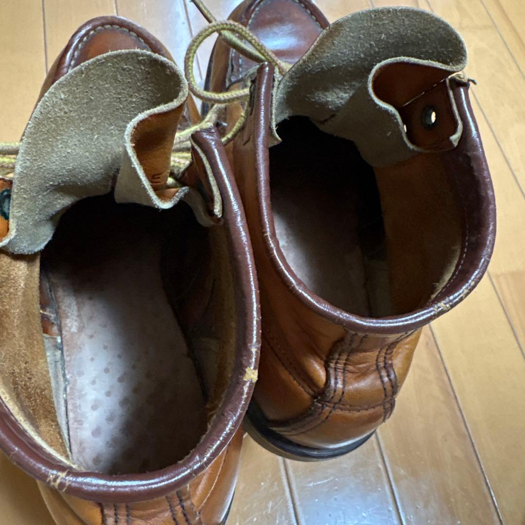 犬刻印　レッドウィングアイリッシュセッター