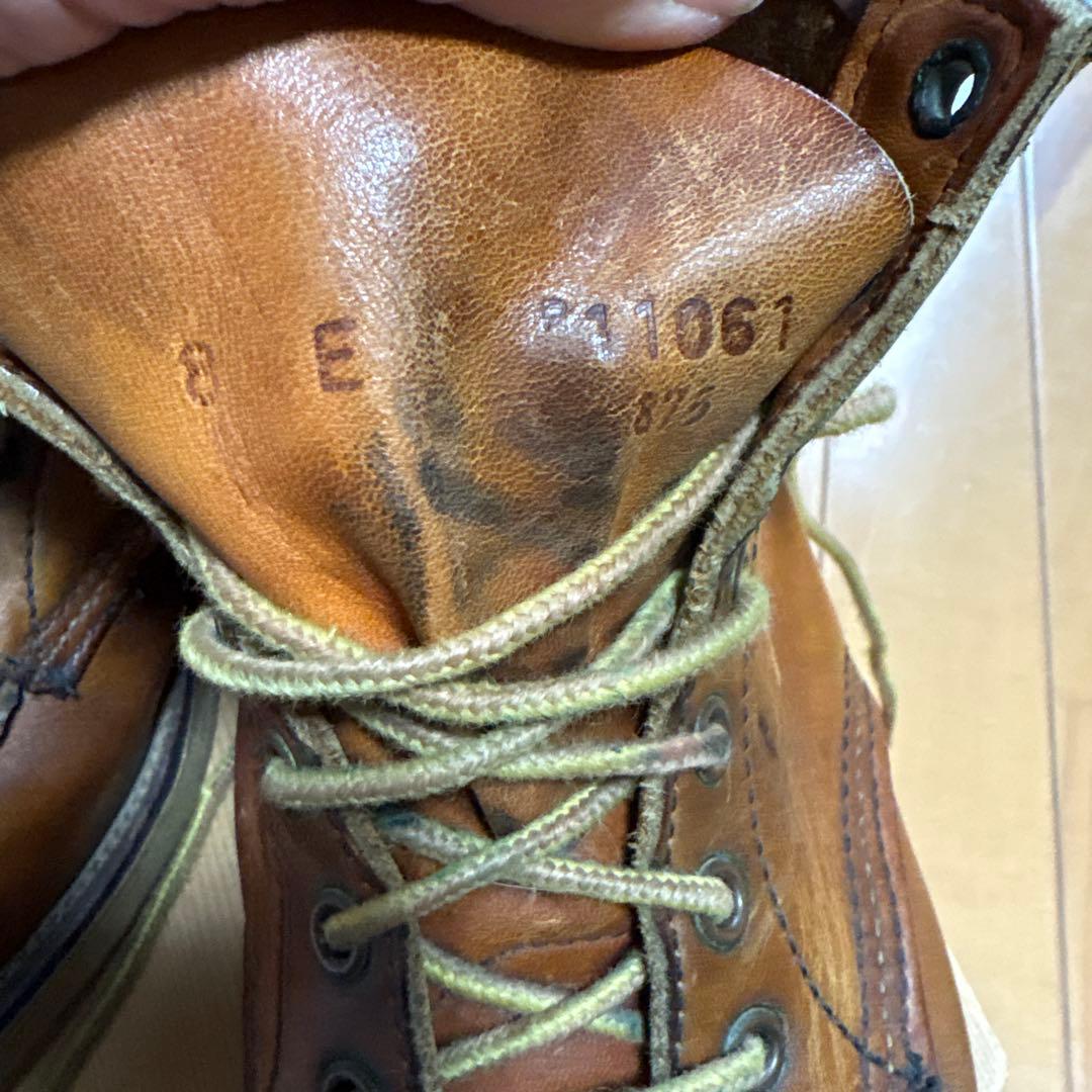 犬刻印　レッドウィングアイリッシュセッター