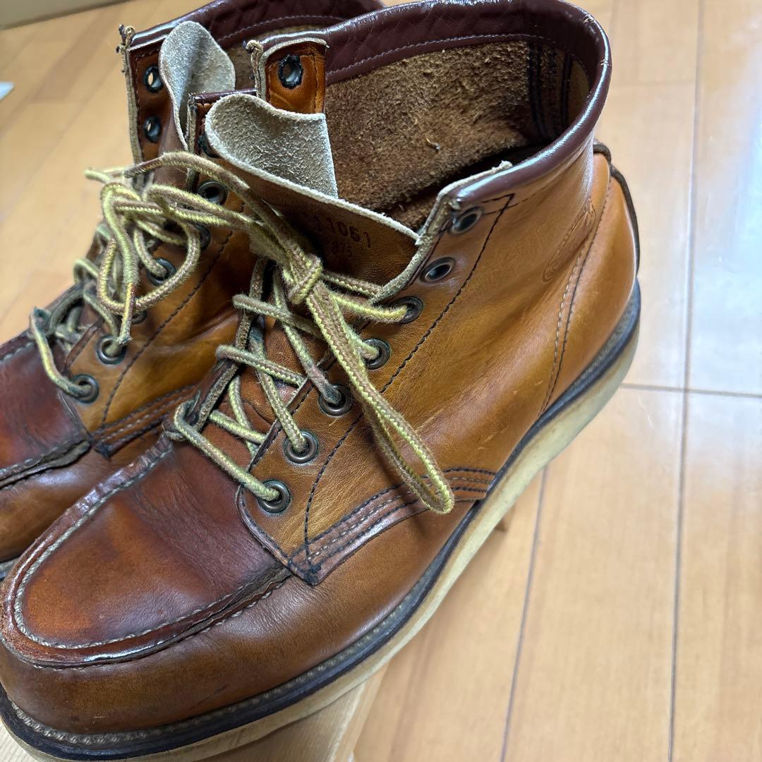 犬刻印　レッドウィングアイリッシュセッター