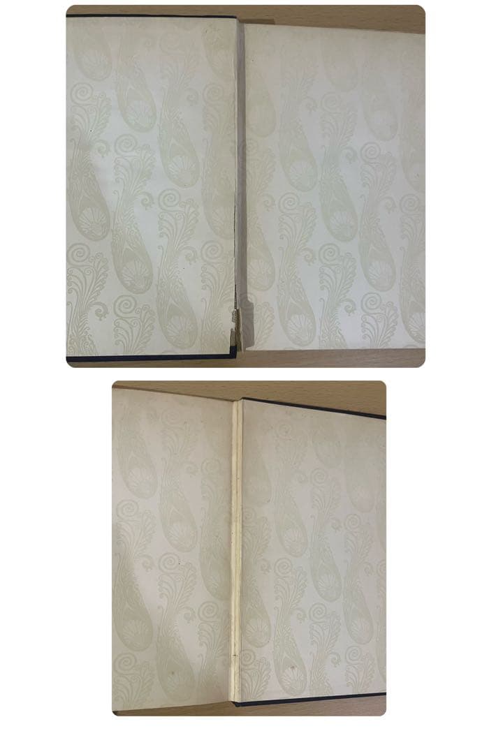 No.396 古書 アンティーク 洋書 エドマンド ·デュラック ルバイヤート