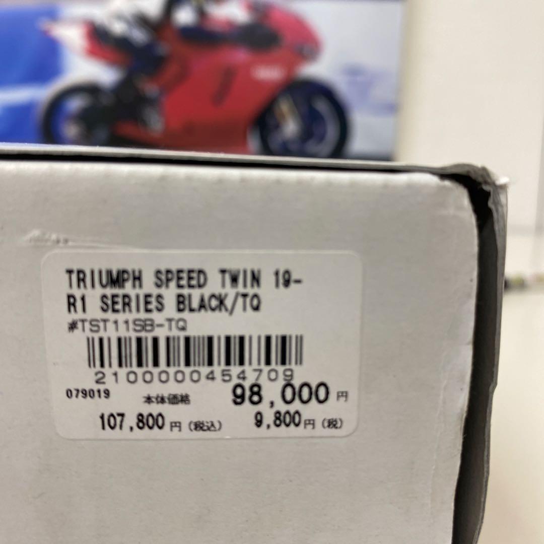 ナイトロン トライアンフ スピードツイン ローダウンサス