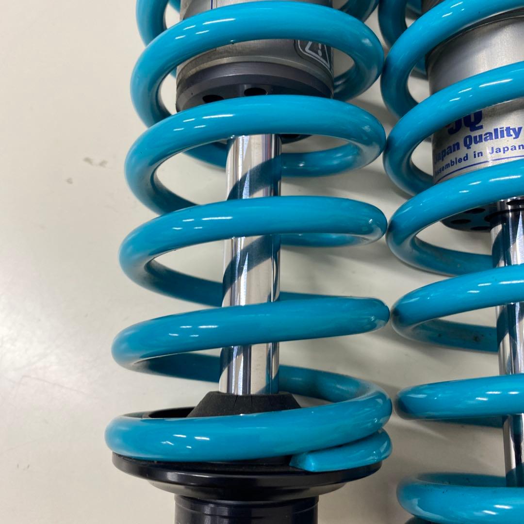 ナイトロン トライアンフ スピードツイン ローダウンサス