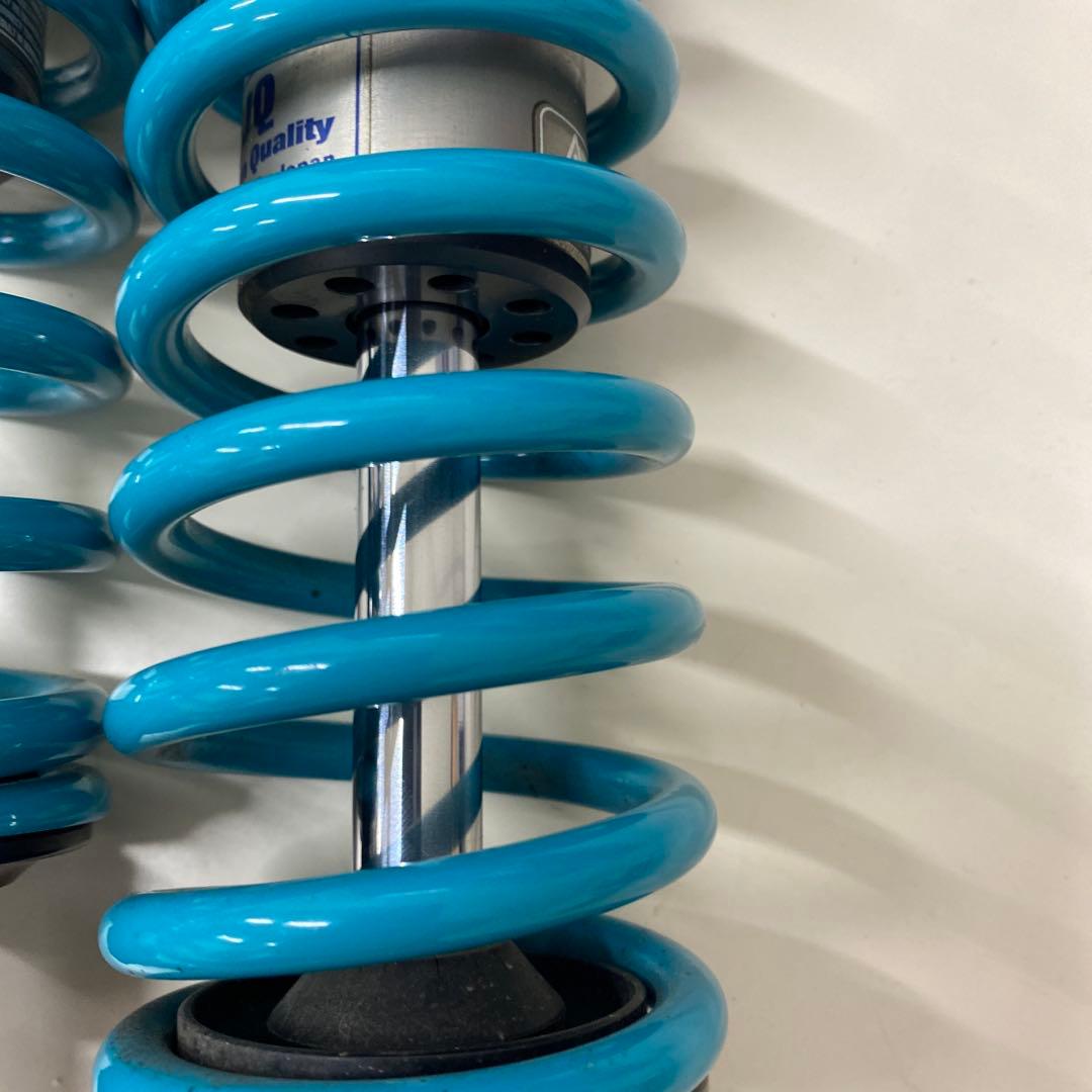 ナイトロン トライアンフ スピードツイン ローダウンサス