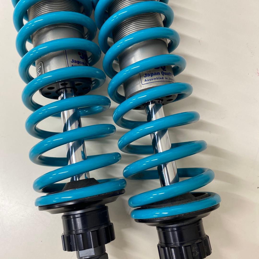 ナイトロン トライアンフ スピードツイン ローダウンサス