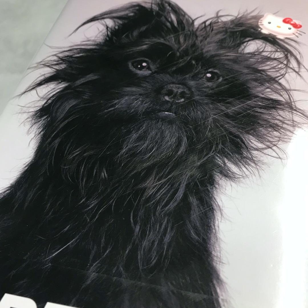 レスリーキー 「SUPER TOKYO LESLIE KEE」