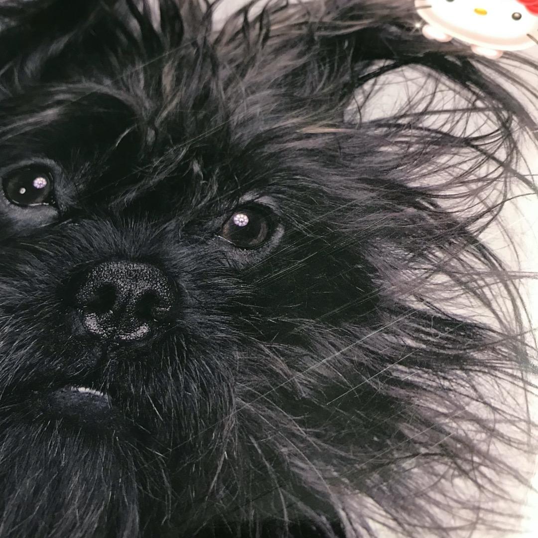 レスリーキー 「SUPER TOKYO LESLIE KEE」