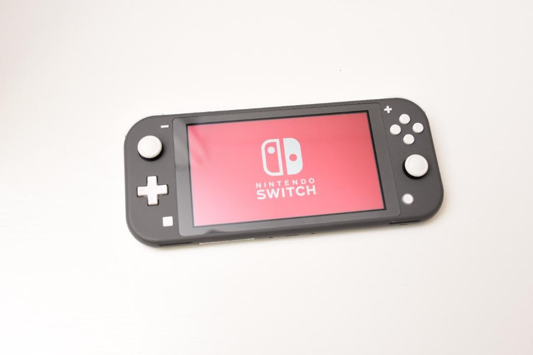 Nintendo Switch Lite グレー 専用ケース付き