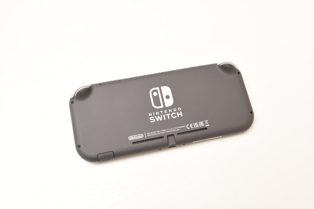 Nintendo Switch Lite グレー 専用ケース付き