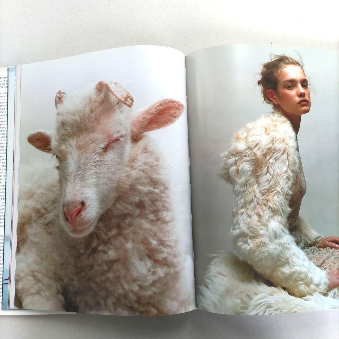 MONDINO:Two Much/モンディーノ 写真集 作品集 ポートレート