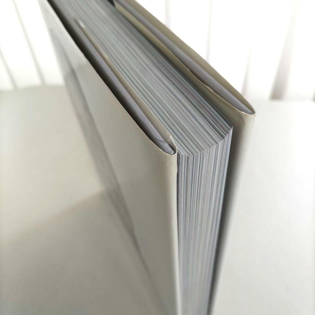 MONDINO:Two Much/モンディーノ 写真集 作品集 ポートレート