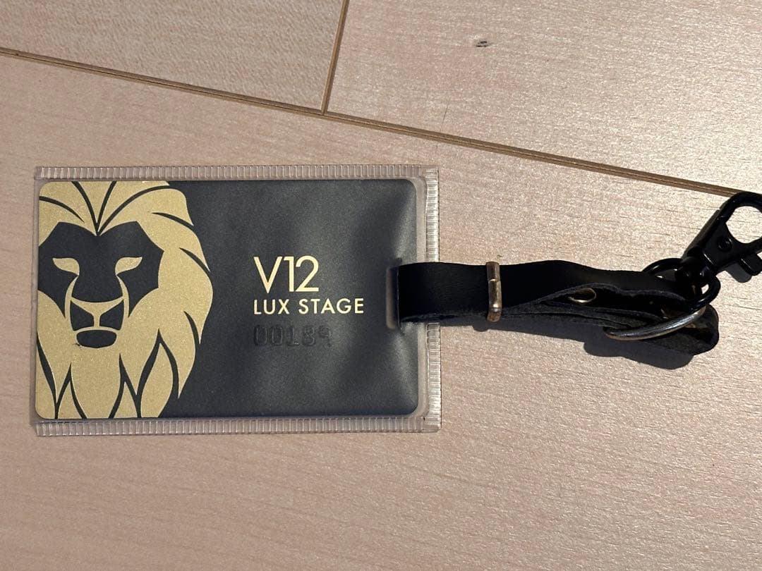 か*様 V12ヴィ・トゥエルヴ　LEON別注モデル　LEON STAR