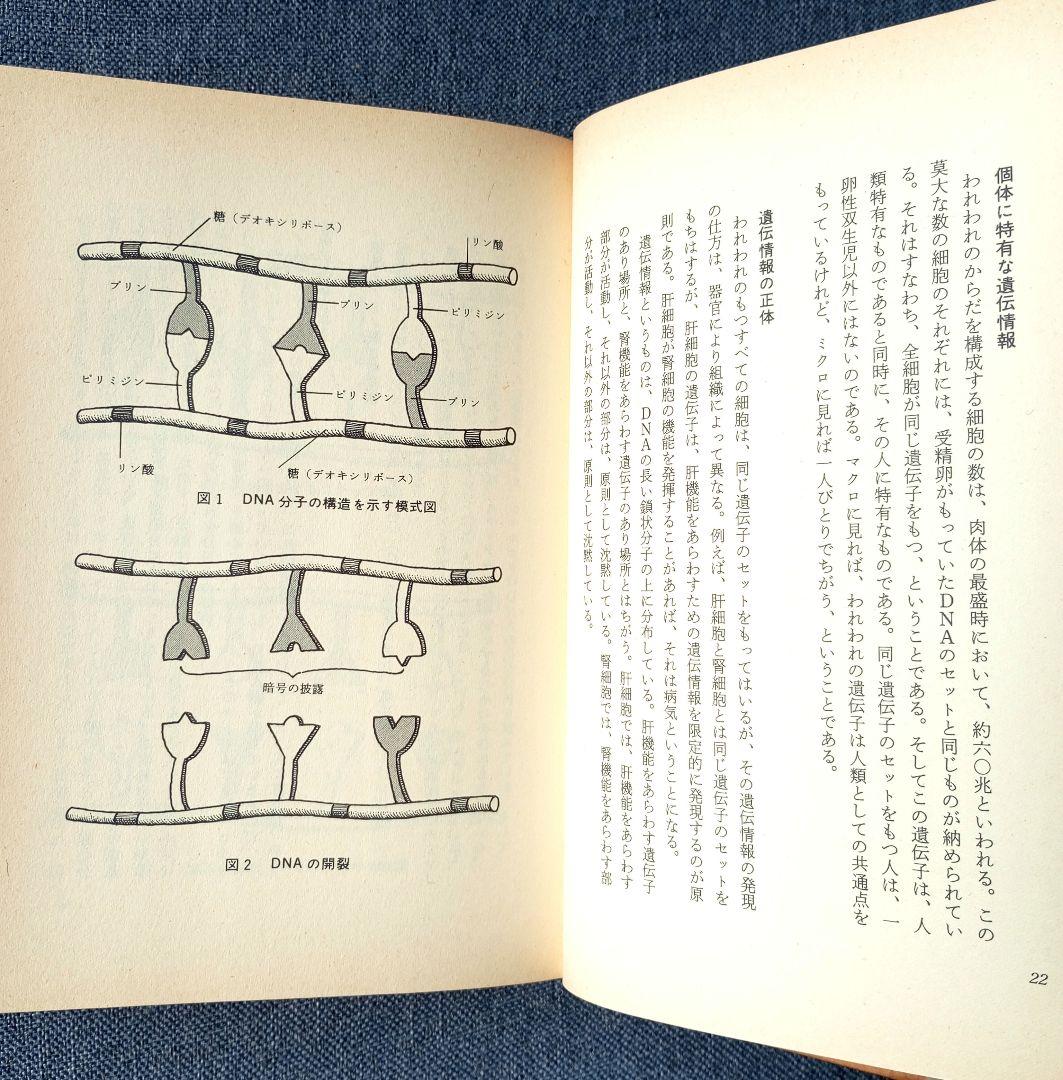 三石巌全業績 （3） 分子栄養学序説