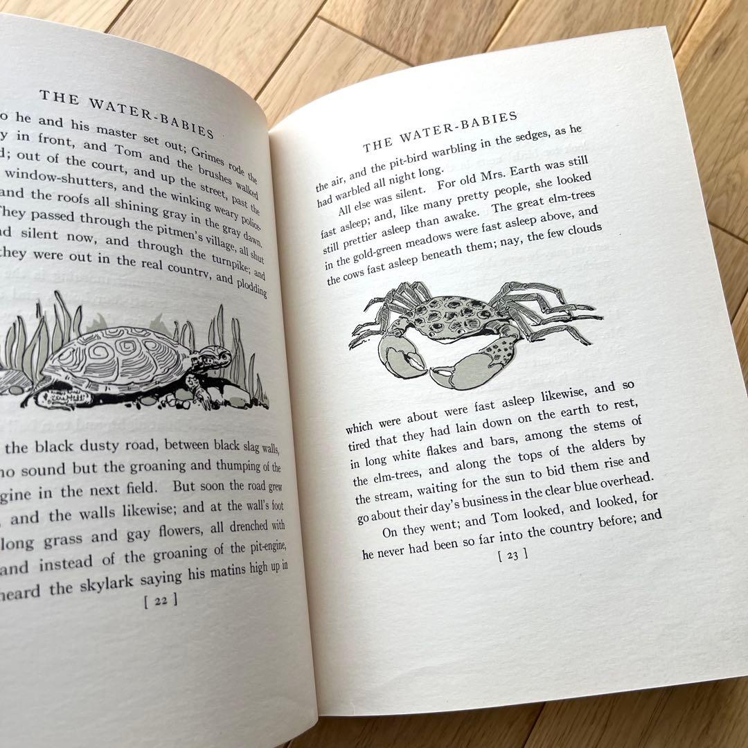 The Water-Babies⠀ジェシー・ウィルコックス・スミス　アンティーク