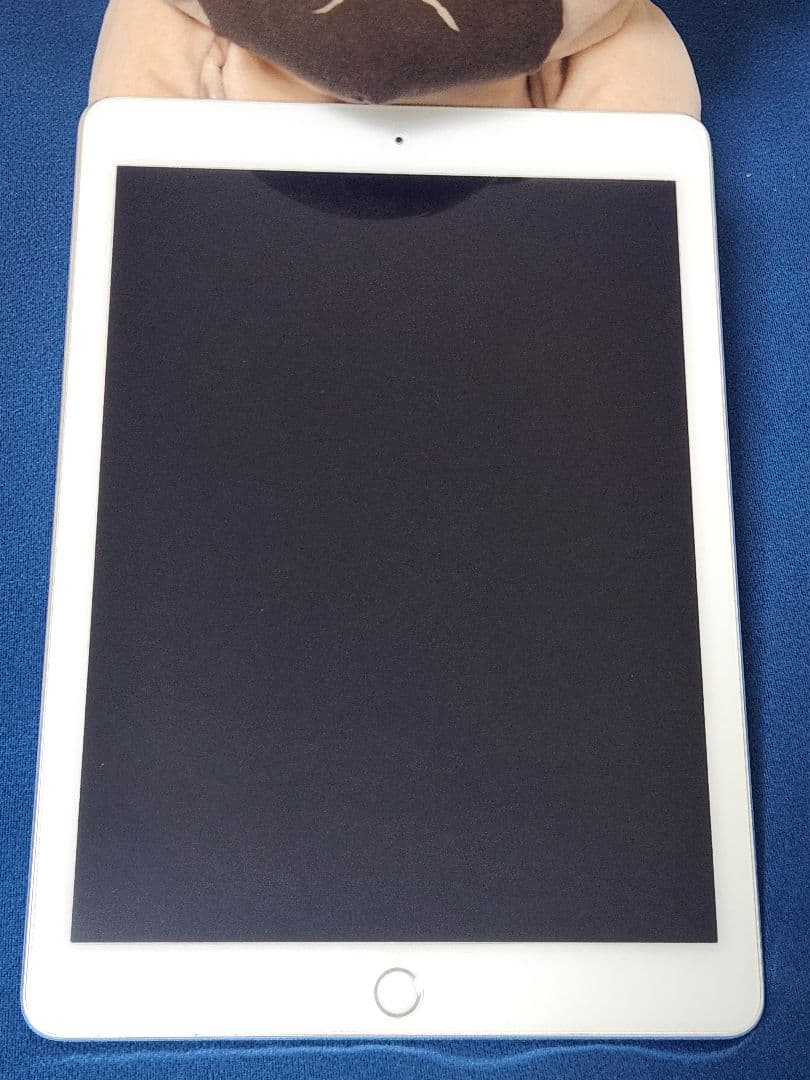 K*u様 iPad Pro 9.7 256GB シルバー ペン キーボード