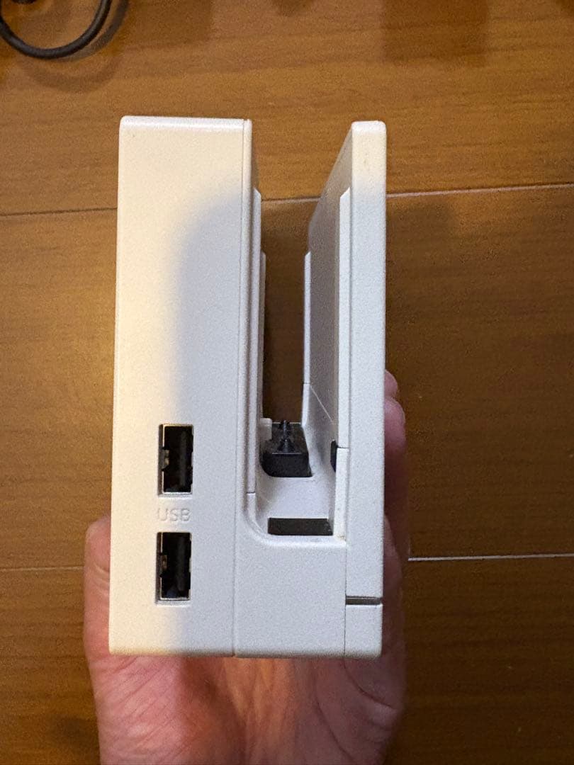 Nintendo Switch どうぶつの森セット