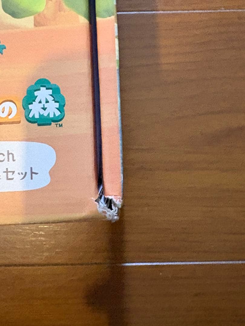 Nintendo Switch どうぶつの森セット