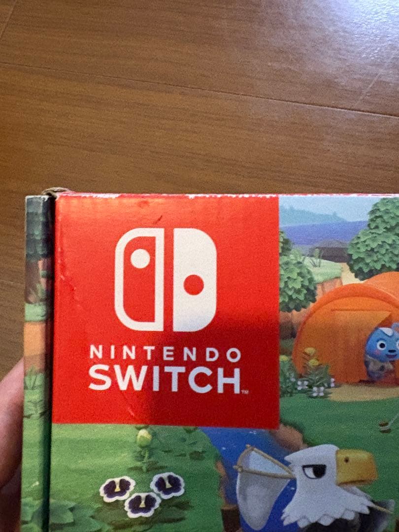 Nintendo Switch どうぶつの森セット