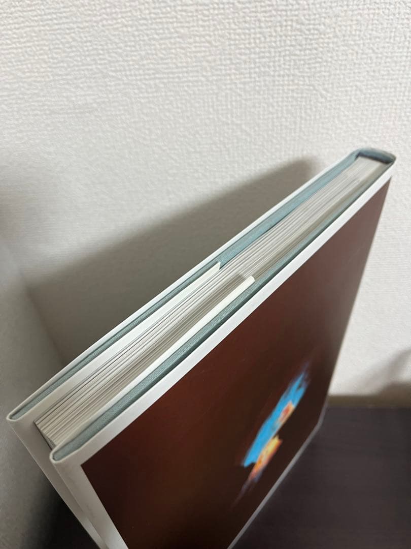 【写真集】Ryan McGinleyライアンマッギンレー 『You and I』