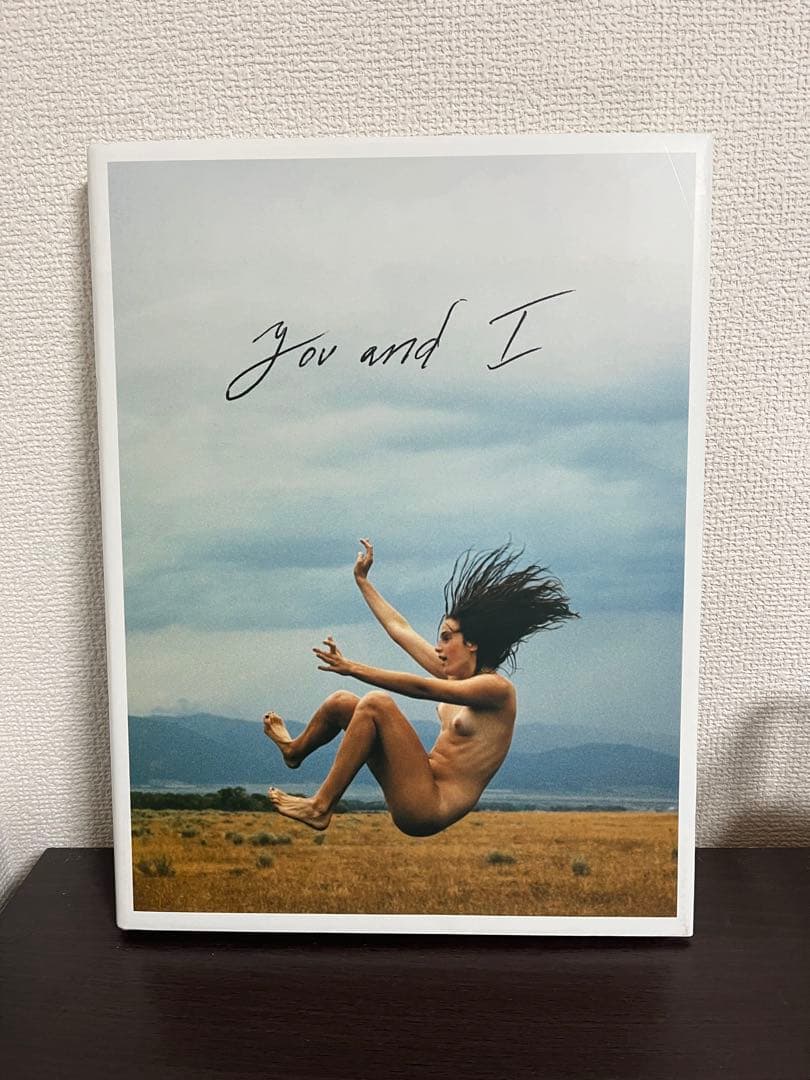 【写真集】Ryan McGinleyライアンマッギンレー 『You and I』