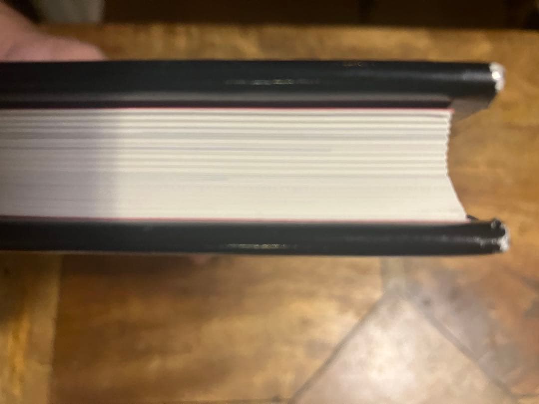 【希少】エリックホグラン作品集 Erik Hoglund 本　BODA