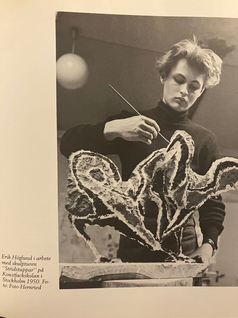 【希少】エリックホグラン作品集 Erik Hoglund 本　BODA