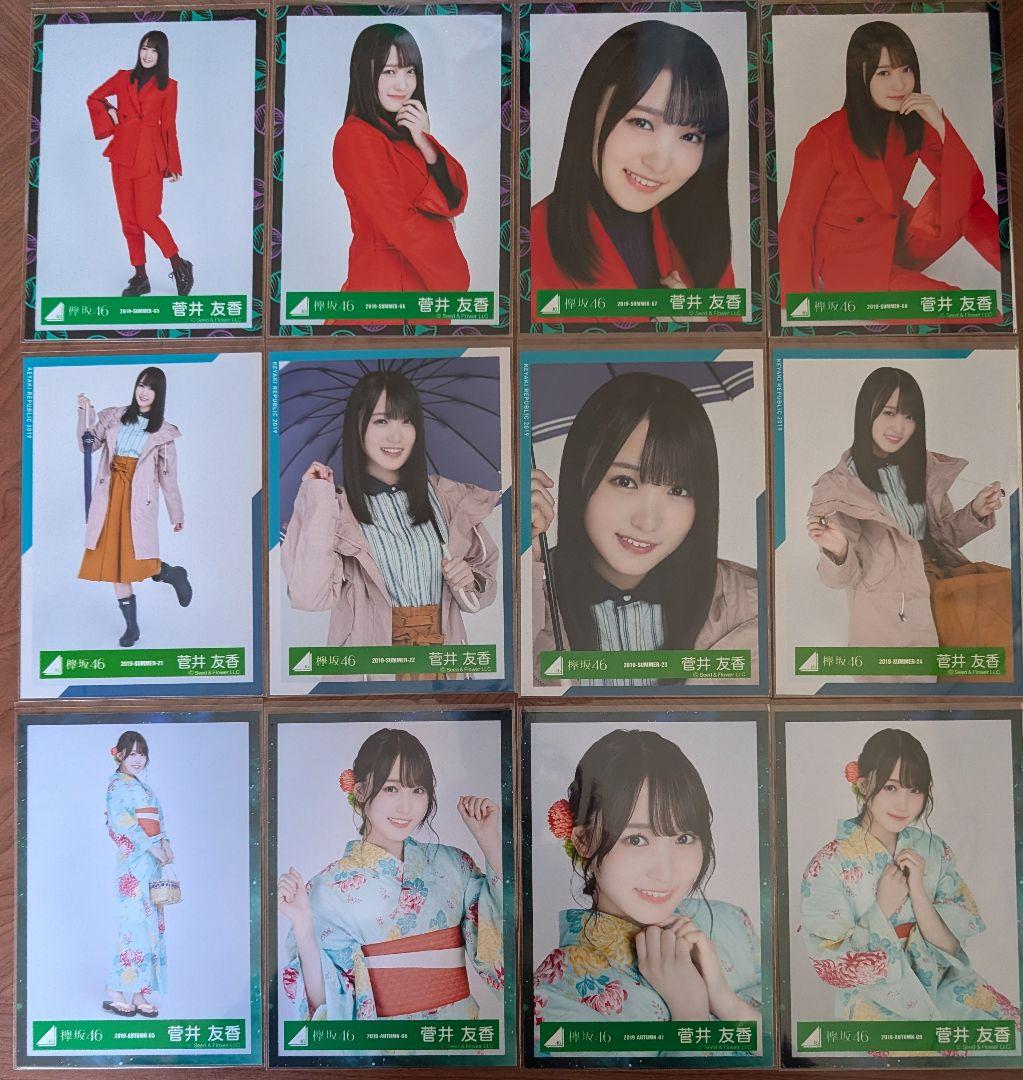 欅坂46 菅井友香 生写真 24コンプ まとめ売り