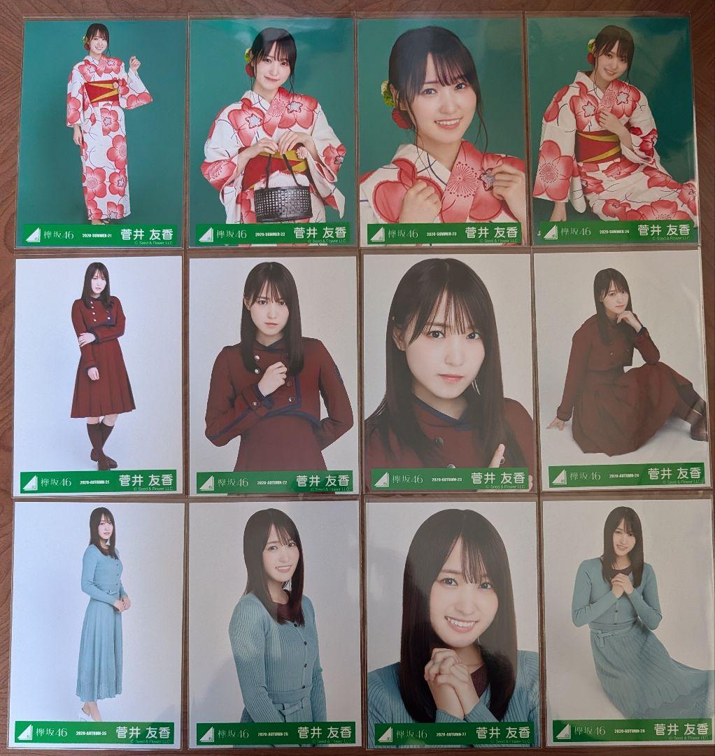 欅坂46 菅井友香 生写真 24コンプ まとめ売り